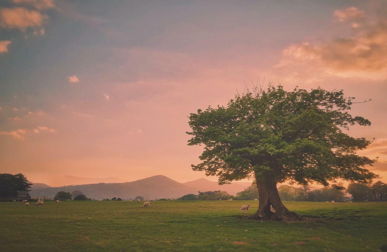 Conwy Cottage Dış mekan fotoğraf